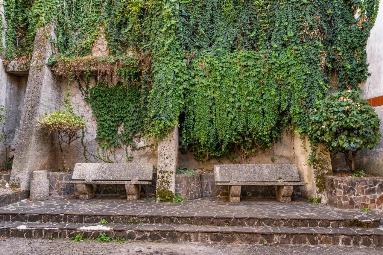 Piazza Laurino Apartments Basic Excursions Alto Cilento Cammino Giubilare Di Santelena Exterior photo